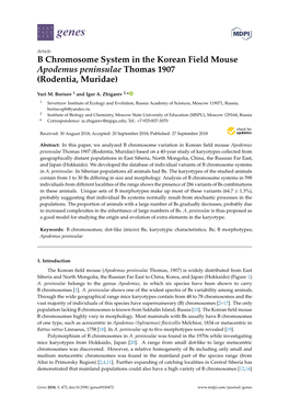 B Chromosome System in the Korean Field Mouse Apodemus Peninsulae Thomas 1907 (Rodentia, Muridae)