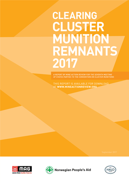 Cluster Munition Remnants 2017