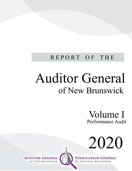 Report of the Auditor General 2020, Volume I