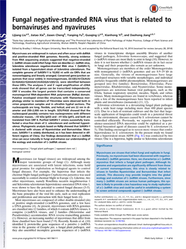 Fungal Negative-Stranded RNA Virus That Is Related to Bornaviruses and Nyaviruses