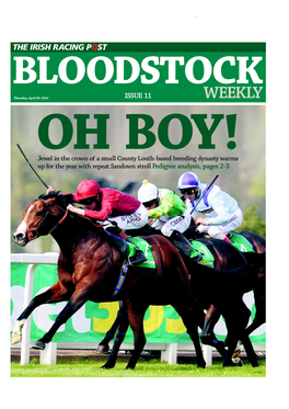 WEEKLY OH BOY! Jewel in the Crown of a Small County Louth-Based Breeding Dynasty Warms up for the Year with Repeat Sandown Stroll Pedigree Analysis, Pages 2-3 P P Q