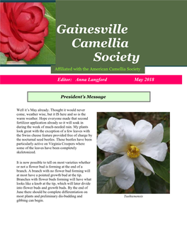 MGCS Newsletter