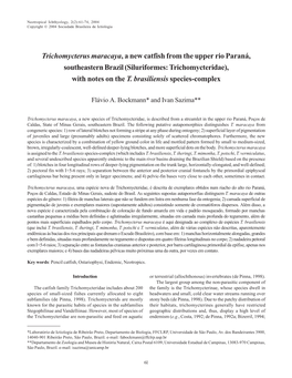 Trichomycterus Maracaya, a New Catfish from the Upper Rio Paraná, Southeastern Brazil (Siluriformes: Trichomycteridae), with Notes on the T