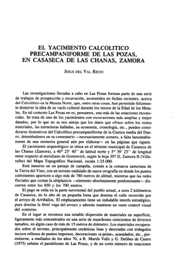 El Yacimiento Calcolitico Precampaniforme De Las Pozas, En Casaseca De Las Chanas, Zamora