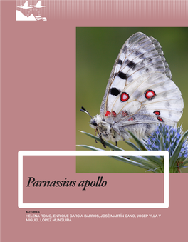 Parnassius Apollo