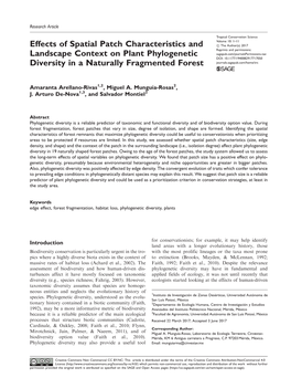 Effects of Spatial Patch Characteristics and Landscape Context on Plant Phylogenetic Diversity in a Naturally Fragmented Forest