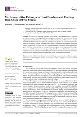 Findings from Chick Embryo Studies