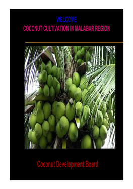 Coconut Cultivation in Malabar Region
