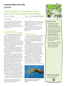 Horsehair Worm and the Grasshopper Nematode Fact Sheet No