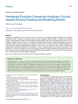 Vertebrate Evolution Conserves Hindbrain Circuits Despite Diverse Feeding and Breathing Modes