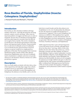 Rove Beetles of Florida, Staphylinidae (Insecta: Coleoptera: Staphylinidae)1 J