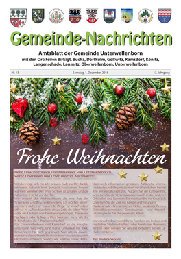 Amtsblatt 13-2018