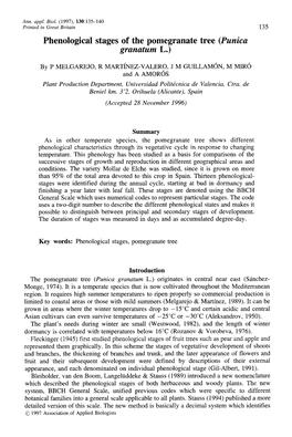 Phenological Stages of the Pomegranate Tree (Punica Granatum L.)