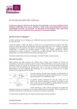 Fiche Découverte Cépage