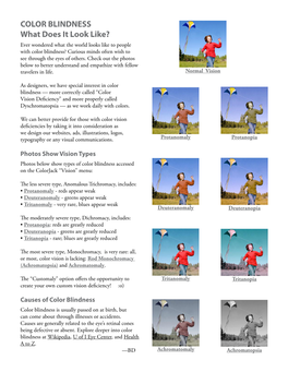 COLOR BLINDNESS What Does It Look Like?
