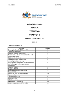 Business Studies Grade 12 Term Two Chapter 6 Notes Csr and Csi 2019