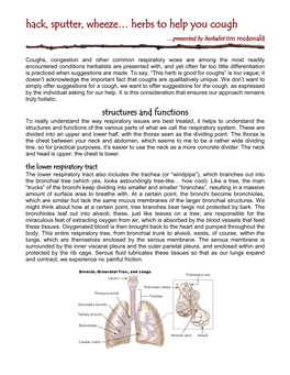 Hack, Sputter, Wheeze… Herbs to Help You Cough