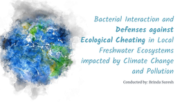 Bacterial Interaction and Defenses Against Ecological Cheating In