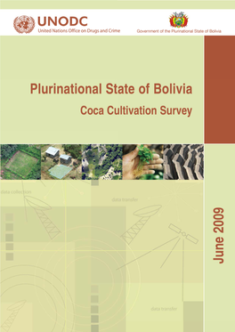Bolivia Coca Cultivation Survey