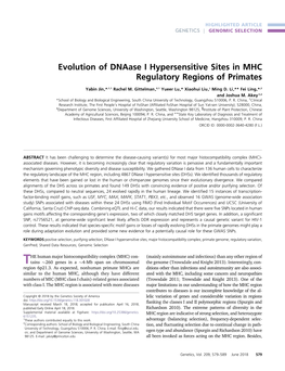 Evolution of Dnaase I Hypersensitive Sites in MHC Regulatory Regions of Primates