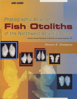 Campana, S.E. 2004. Photographic Atlas of Fish Otoliths of the Northwest Atlantic Ocean