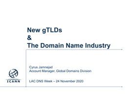 New Gtlds & the Domain Name Industry