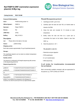 Rat FKBP1A ORF Mammalian Expression Plasmid, N-Myc Tag