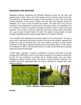 RAPESEED and MUSTARD.Pdf