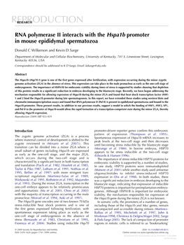 Reduction in Reproductive Lifespan of Tissue Inhibitor of Metalloproteinase