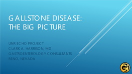 Gallstone Disease: the Big Picture