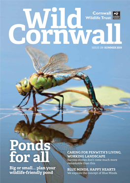 Wild Cornwall, Which Organisations, Like Cornwall Council, Are Declaring Climate Is Full of Feature Articles, Wildlife and Conservation News Emergencies