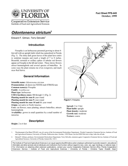 Odontonema Strictum1