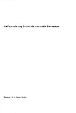 Sulfate-Reducing Bacteria in Anaerobic Bioreactors Are Presented in Table 1