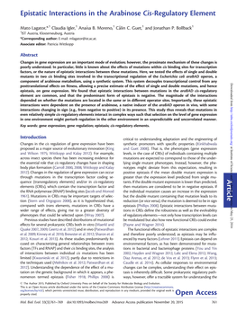 Article Epistatic Interactions in the Arabinose Cis-Regulatory Element