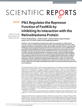 Plk1 Regulates the Repressor Function of Foxm1b by Inhibiting Its