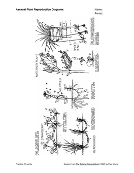 Asexual Plant Reproduction Diagrams Name: Period