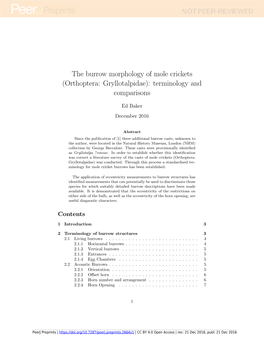 The Burrow Morphology of Mole Crickets (Orthoptera: Gryllotalpidae): Terminology and Comparisons