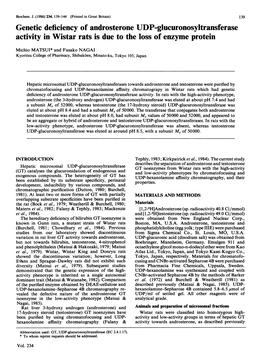 Genetic Deficiency of Androsterone UDP-Glucuronosyltransferase Activity in Wistar Rats Is Due to the Loss of Enzyme Protein