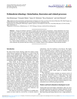 Echinoderm Ichnology: Bioturbation, Bioerosion and Related Processes