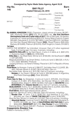 BAY FILLY Barn 4 Hip No