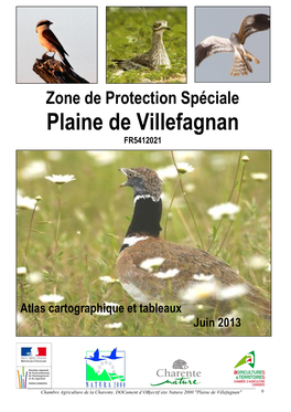 Zone De Protection Spéciale Plaine De Villefagnan FR5412021