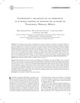 Composición Y Abundancia De Las Pteridofitas En El Bosque Mesófilo De Montaña Del Municipio De Tlanchinol, Hidalgo, México
