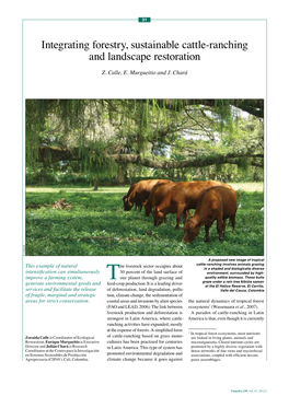 Integrating Forestry, Sustainable Cattle-Ranching and Landscape Restoration