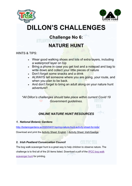 Dillon's Challenges