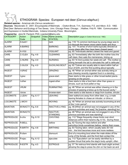 ETHOGRAM- Species: European Red Deer (Cervus Elaphus)