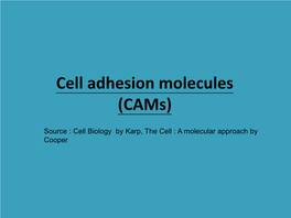Cell Adhesion Molecules (Cams)
