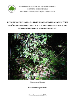 Universidade Federal Do Rio Grande Do Sul Instituto De Biociências Programa De Pós-Graduação Em Botânica