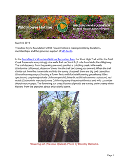 March 8, 2019 Theodore Payne Foundation's Wild Flower Hotline Is