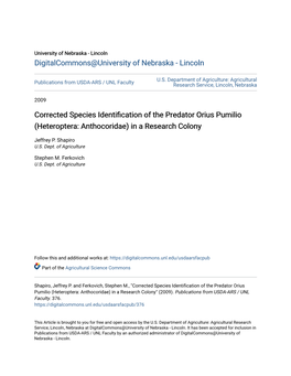 Corrected Species Identification of the Predator Orius Pumilio (Heteroptera: Anthocoridae) in a Research Colony