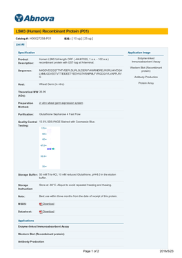 LSM3 (Human) Recombinant Protein (P01)